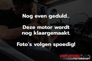 10981-002pie